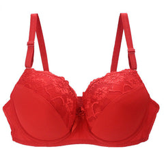 Lace-Trimmed Embroidered Thin Plus-Size Bra