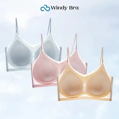 WindyBra - Summer ultra-thin plus size ice silk comfort bra