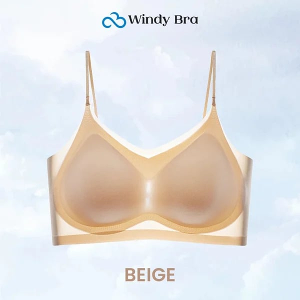 WindyBra - Summer ultra-thin plus size ice silk comfort bra