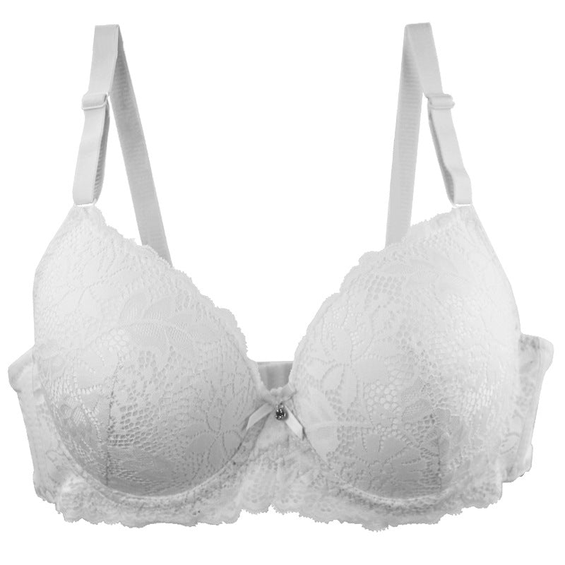 French-Style Sexy And Fashionable Lingerie Plus Size Bra With Full Lace