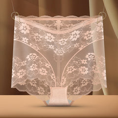 Sexy Ultra-thin Translucent Lace High Waist Hollow Mesh Briefs