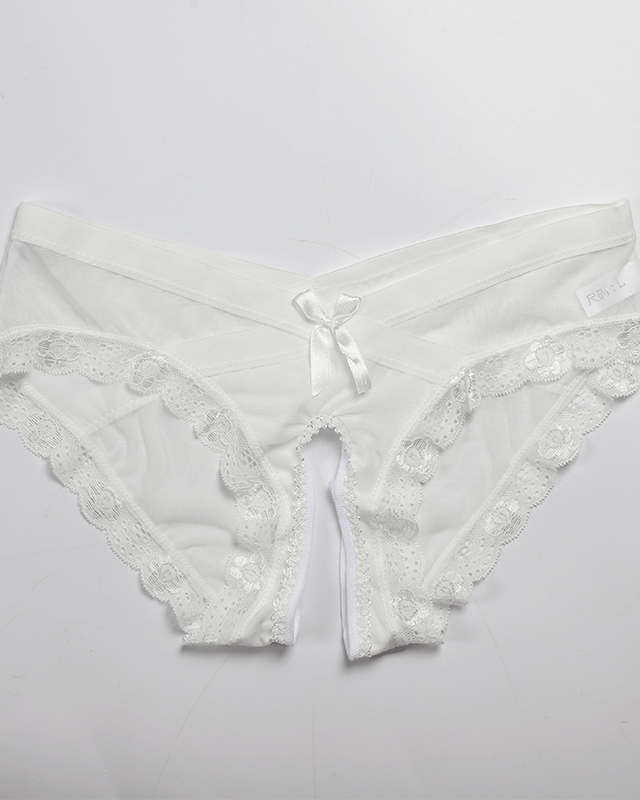 Mesh Crotchless Sexy Transparent Temptation Briefs