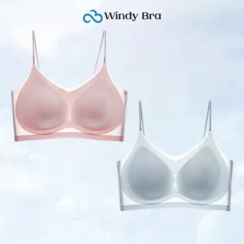 WindyBra - Summer ultra-thin plus size ice silk comfort bra