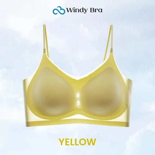 WindyBra - Summer ultra-thin plus size ice silk comfort bra