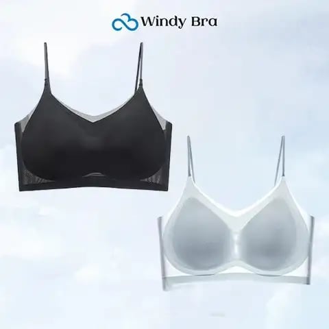 WindyBra - Summer ultra-thin plus size ice silk comfort bra