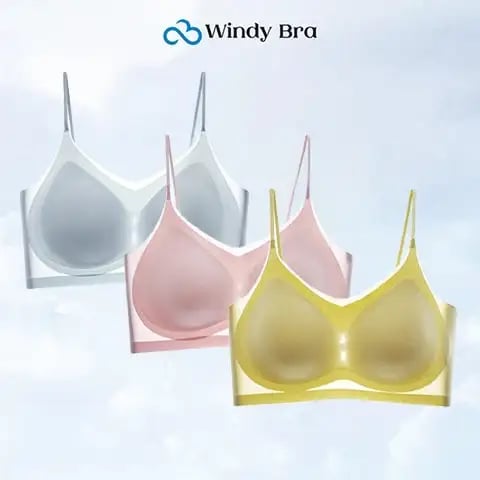 WindyBra - Summer ultra-thin plus size ice silk comfort bra