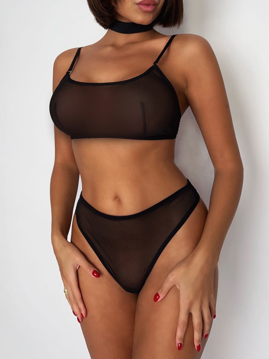 Mesh See-Through Sexy Temptation Tube Top Bra Underwear Set